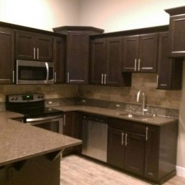 Dark classic kitchen project